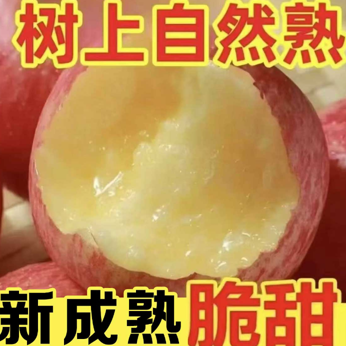 陕西红富士苹果新鲜脆甜多汁产地直发当季水果