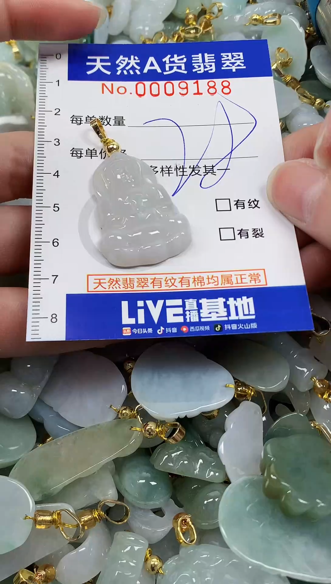 颈饰未镶嵌翡翠纯天然a货翡翠
