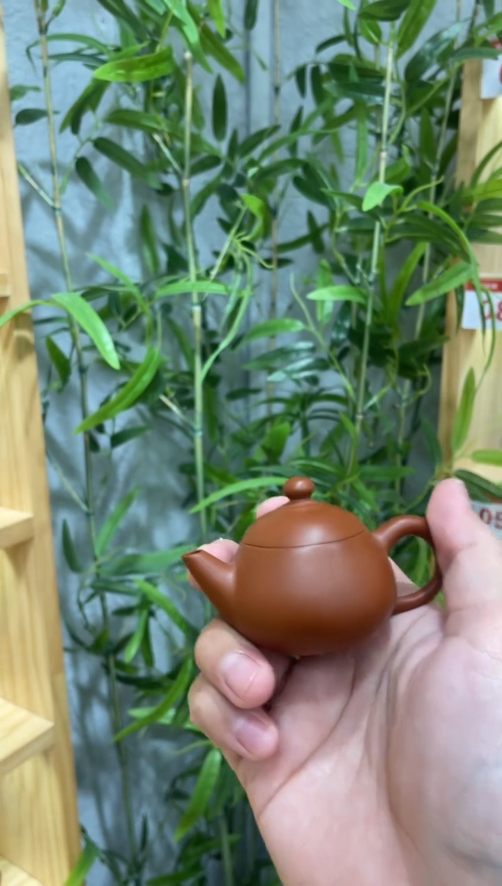 【闪购商品】小小壶·····开播浮力········