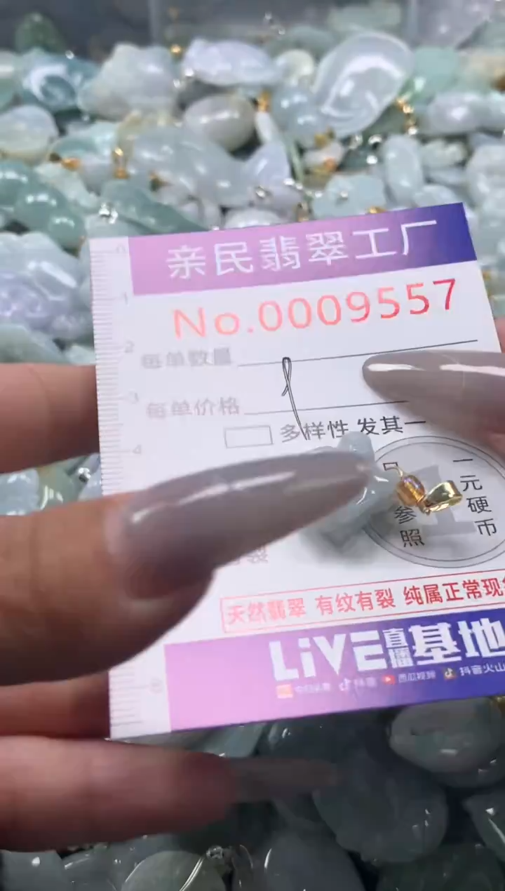 颈饰未镶嵌翡翠9557