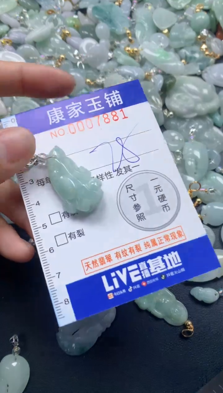 颈饰未镶嵌翡翠7881