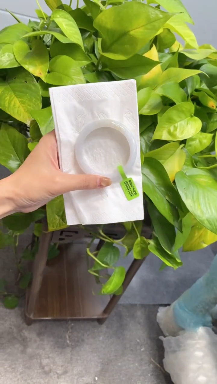 未镶嵌手镯翡翠000071735