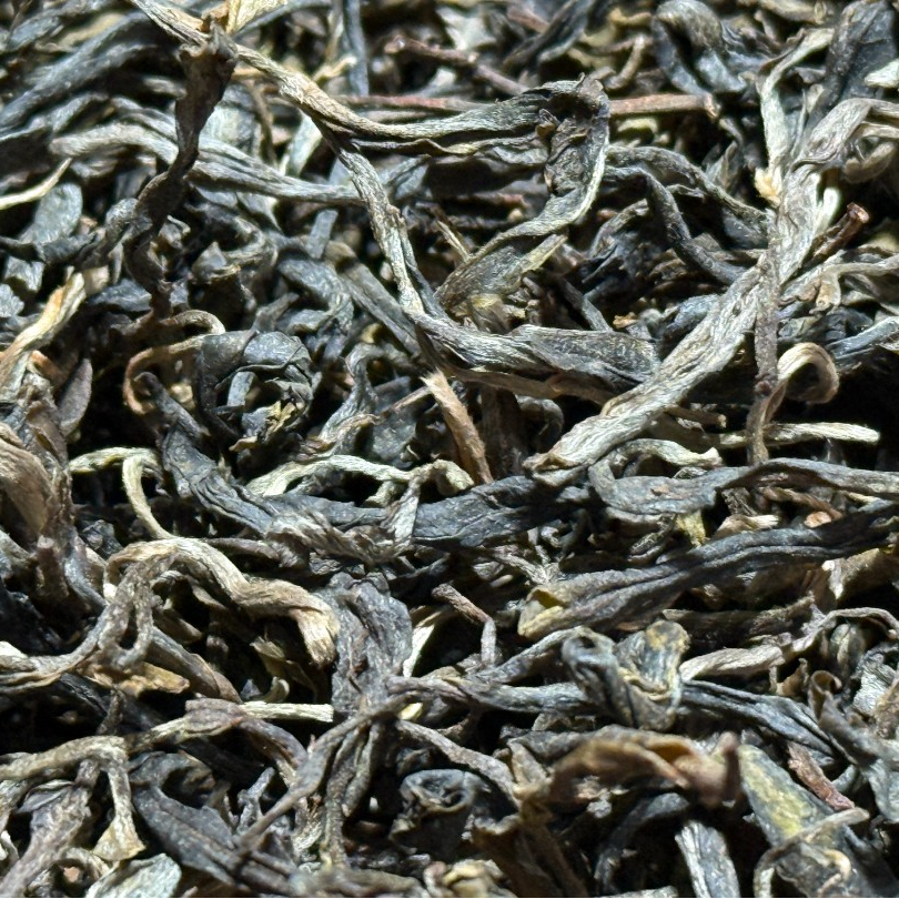 2024年小户赛古树单株  普洱茶 生茶  散茶  50g