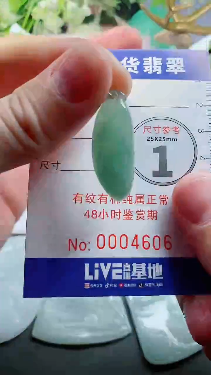 【闪购商品】翡翠颈饰未镶嵌天然A货翡翠一件