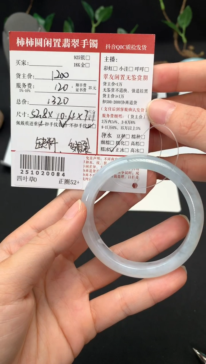 未镶嵌手镯翡翠姐姐251020084