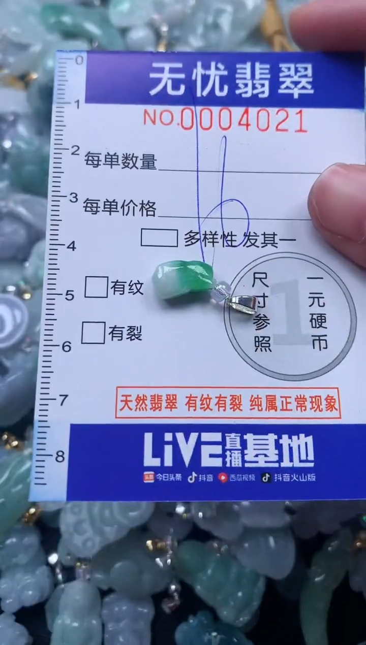 颈饰未镶嵌翡翠4021