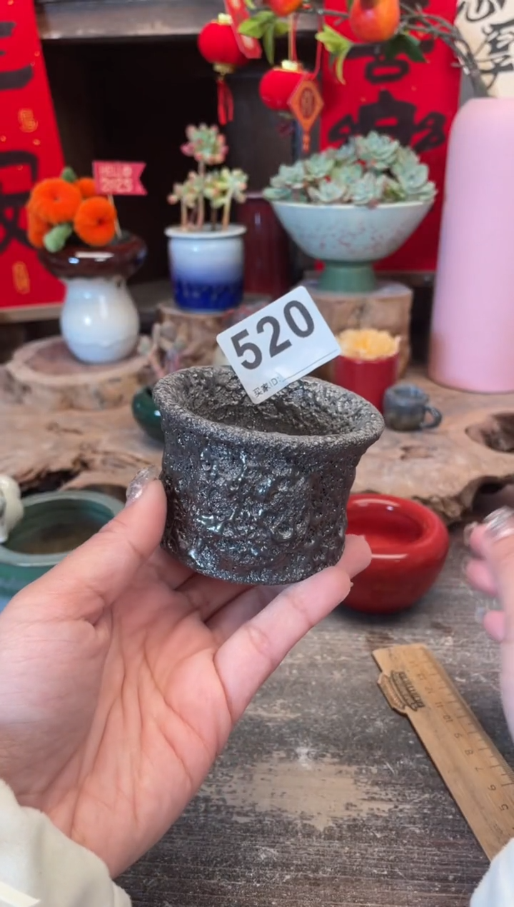 【闪购商品】摆件520知木小芳花盆