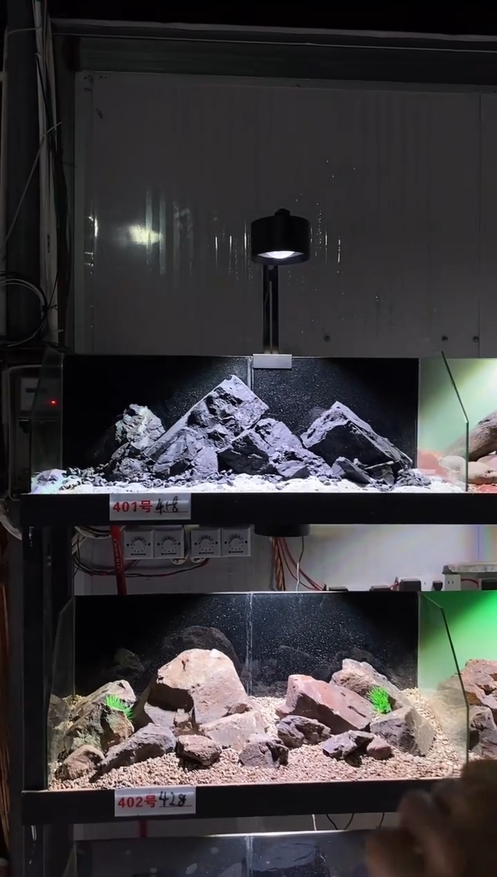 401号鱼缸造景（不含底砂） 