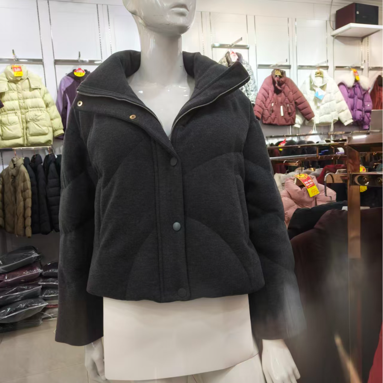 短款立领长袖女90%厚款秋冬女装带帽百搭女士
