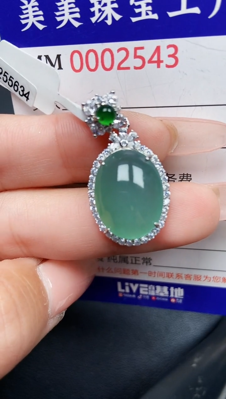 【闪购商品】翡翠颈饰银S925镶嵌2543