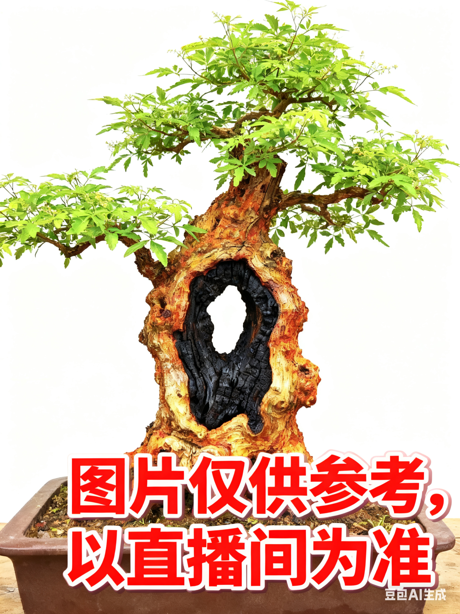 高端黄荆老桩盆景室内庭院直播间竞拍链接 一物一拍