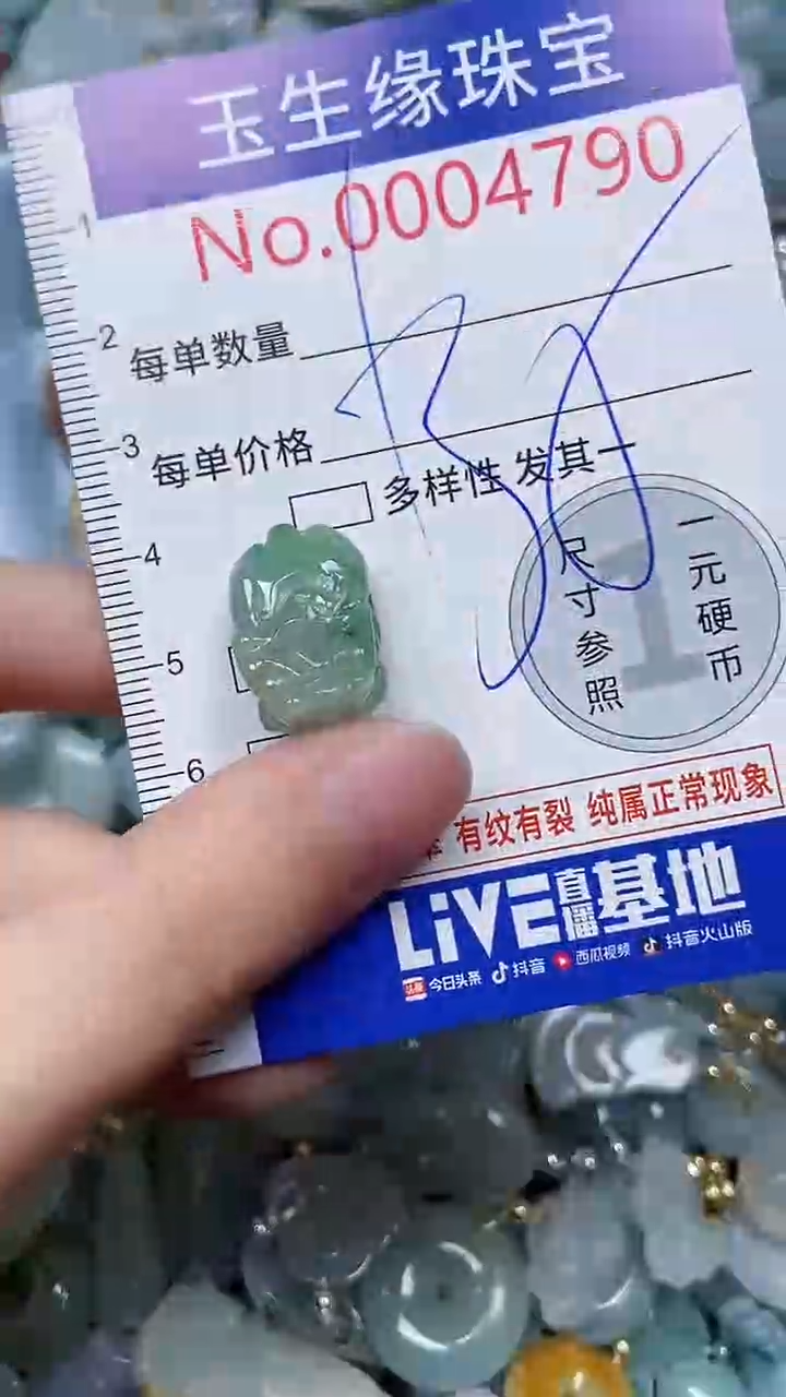 【闪购商品】翡翠颈饰未镶嵌闪购00004790