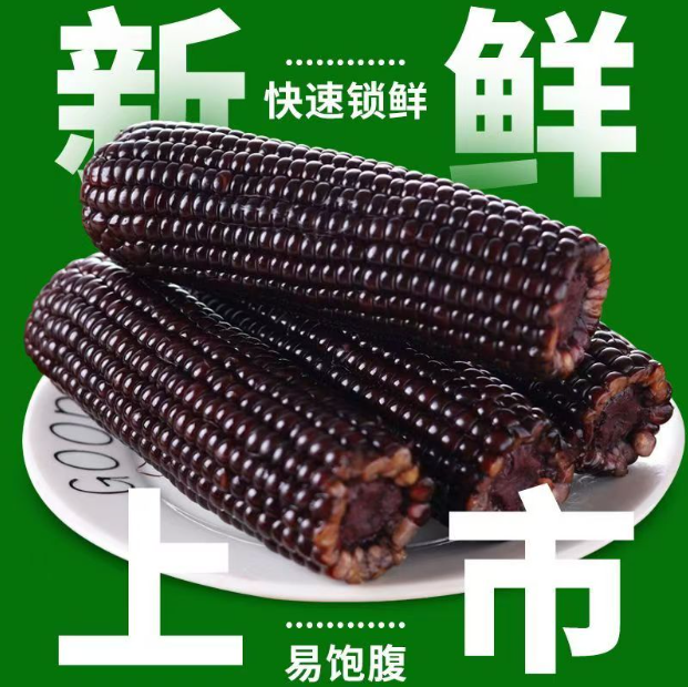 【整箱8.5-9斤】25年头茬黑糯玉米280-350g一箱14支装（含试吃4支）M