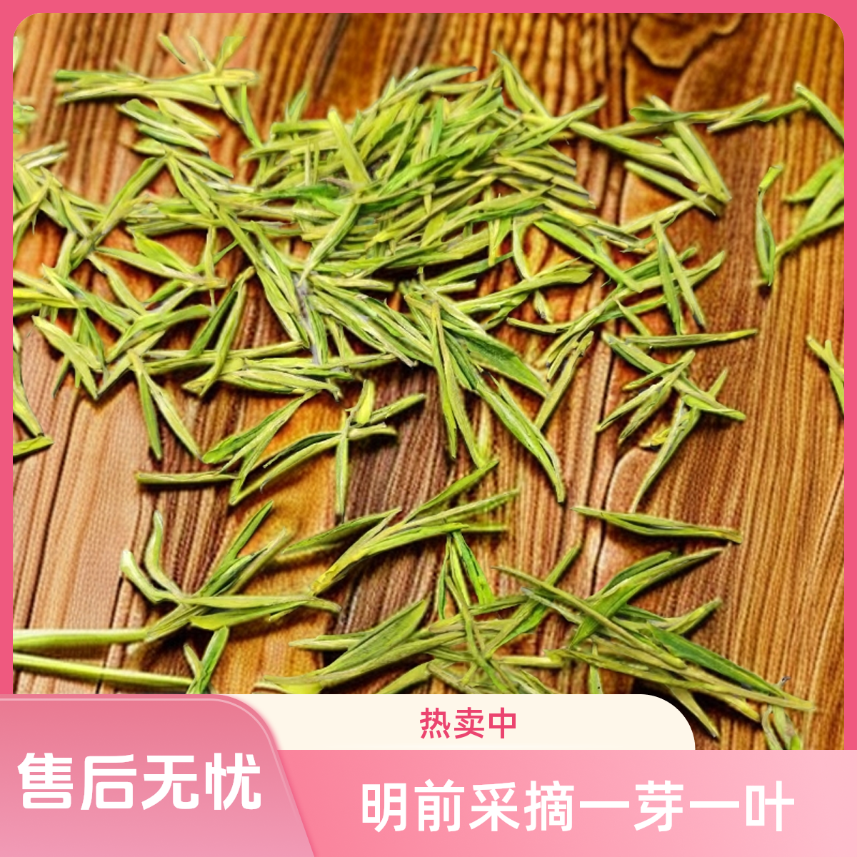 2025年白茶8号300  安吉溪龙乡产兰香馥郁小嫩芽新茶明前茶