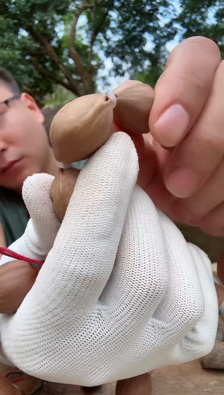 【闪购商品】橄榄核手串2028 梅林铁核原生态素串399