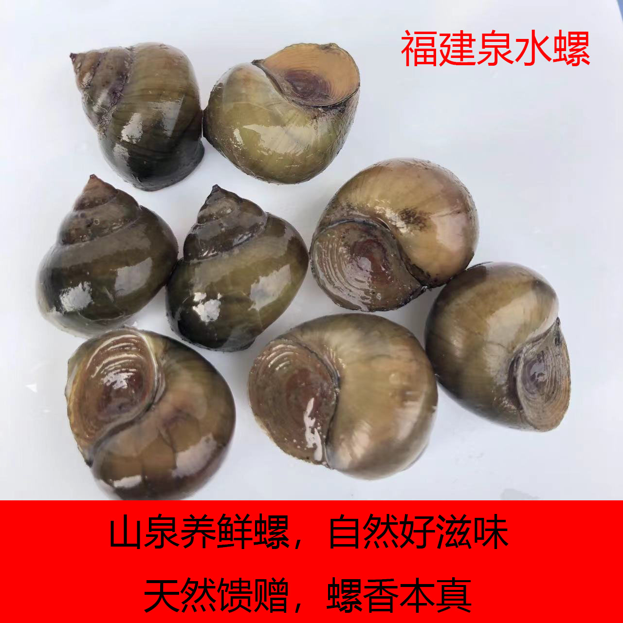 田螺螺蛳|农家自养鲜活田螺新鲜500g|青壳透亮无腥味现捞现发