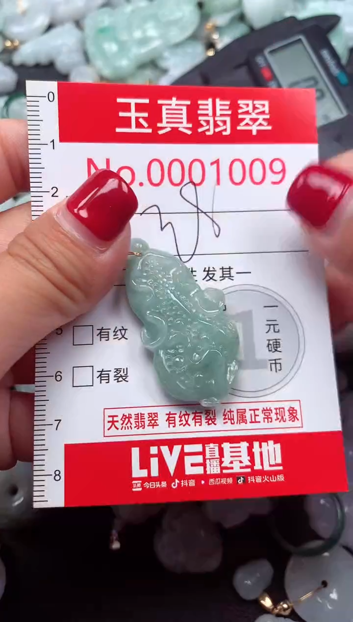 颈饰未镶嵌翡翠1009