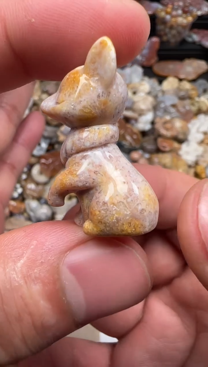 【闪购商品】硅化珊瑚（珊瑚玉）颈饰未镶嵌167
