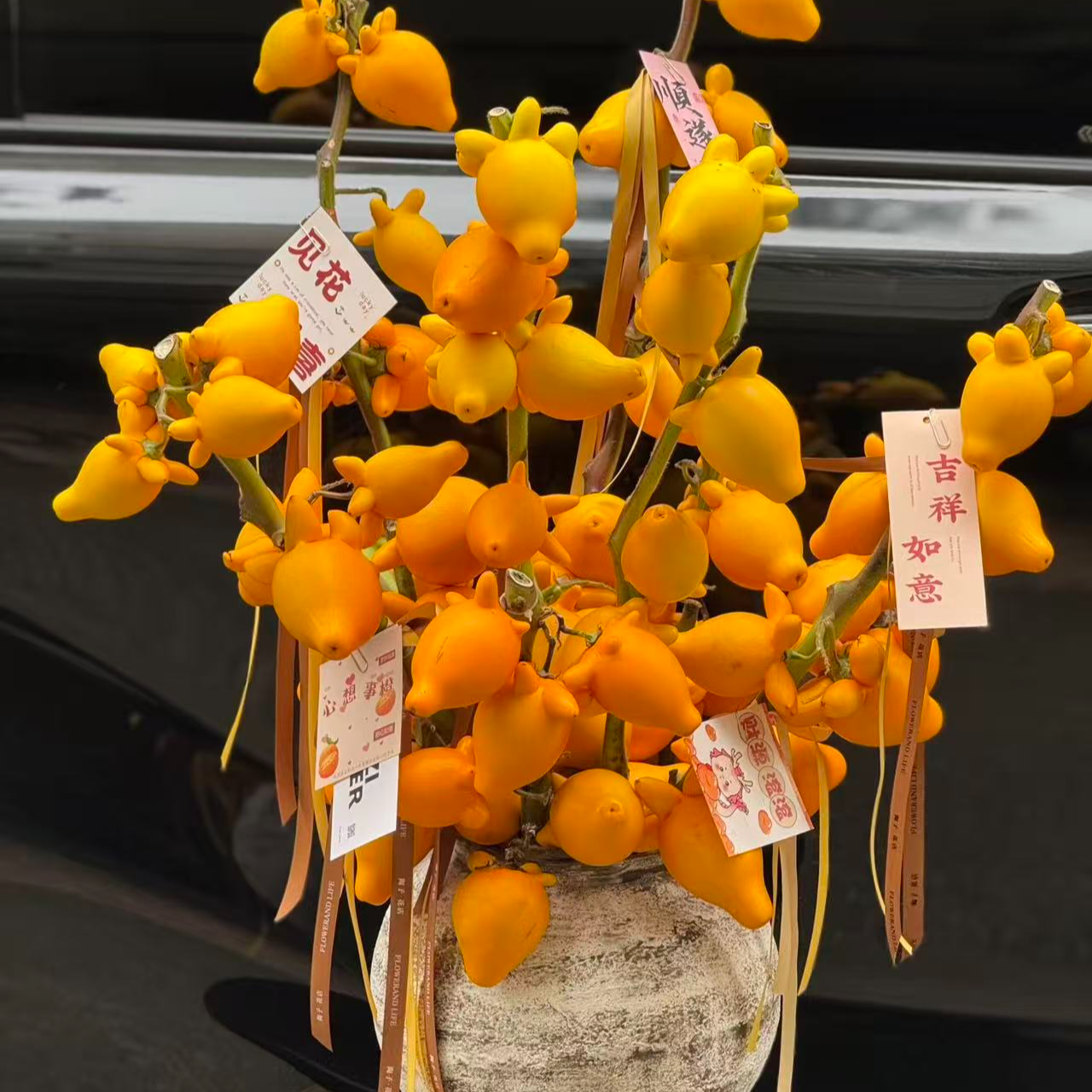 【五代果/黄金果】桌面款鲜真果绿植福禄果鲜花卉好养室内摆黄果