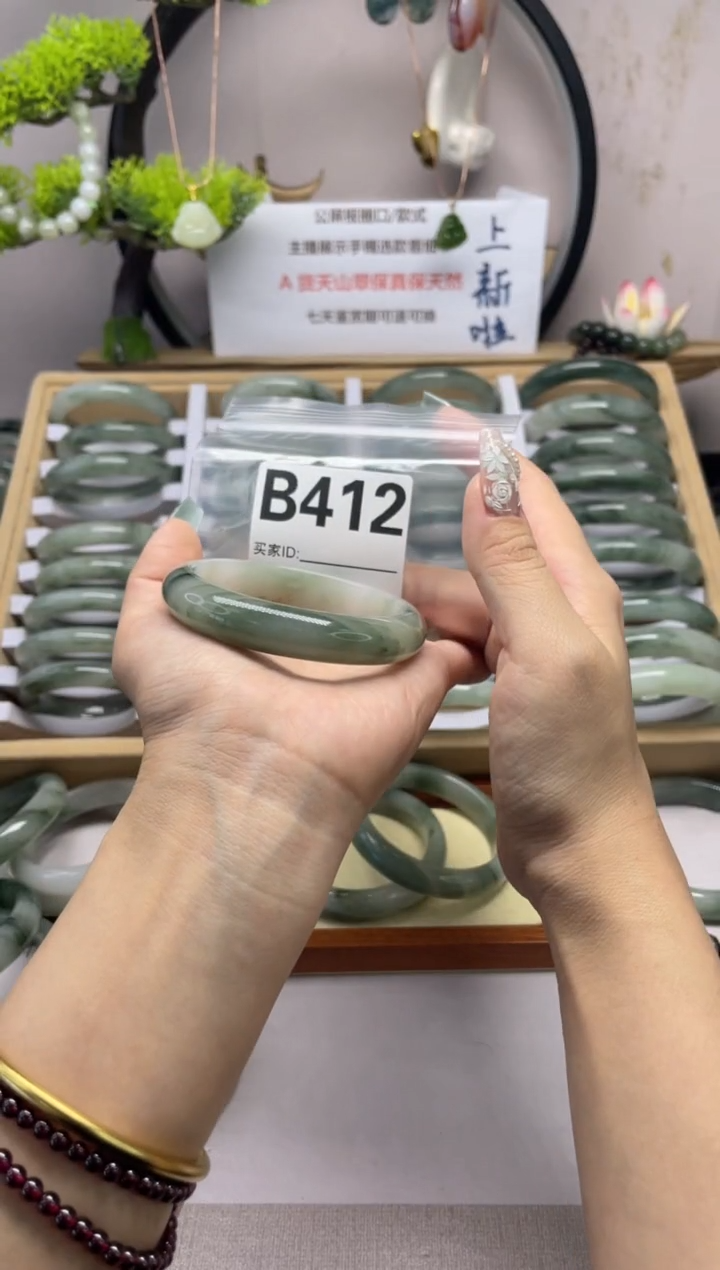 【闪购商品】石英质玉（天山翠）手镯未镶嵌b412