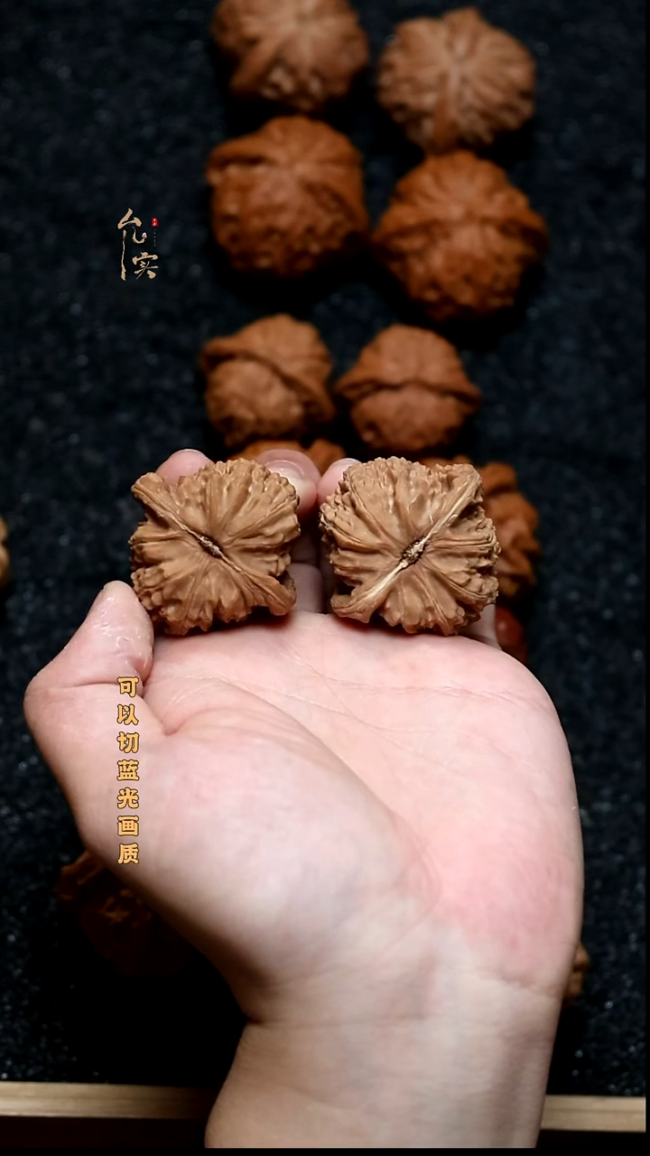 把件文玩核桃白狮子