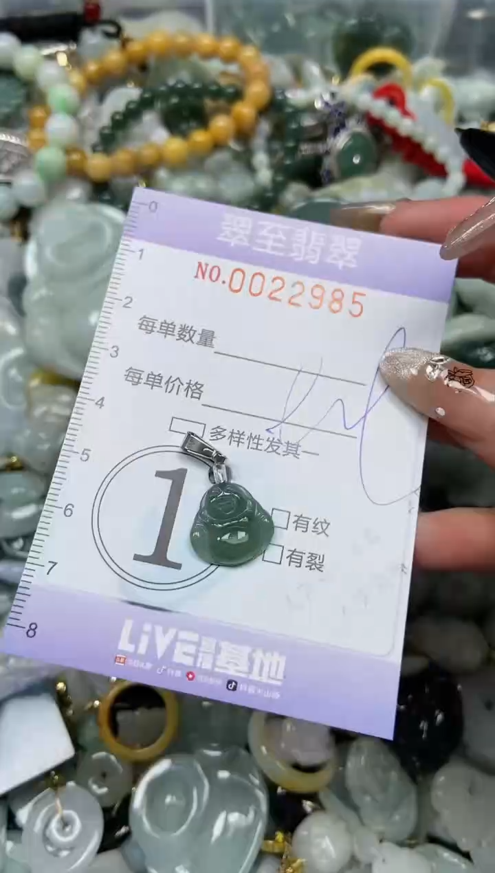 【闪购商品】翡翠颈饰未镶嵌闪购0022985