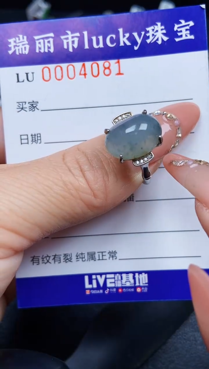 翡翠银S925镶嵌颈饰4081
