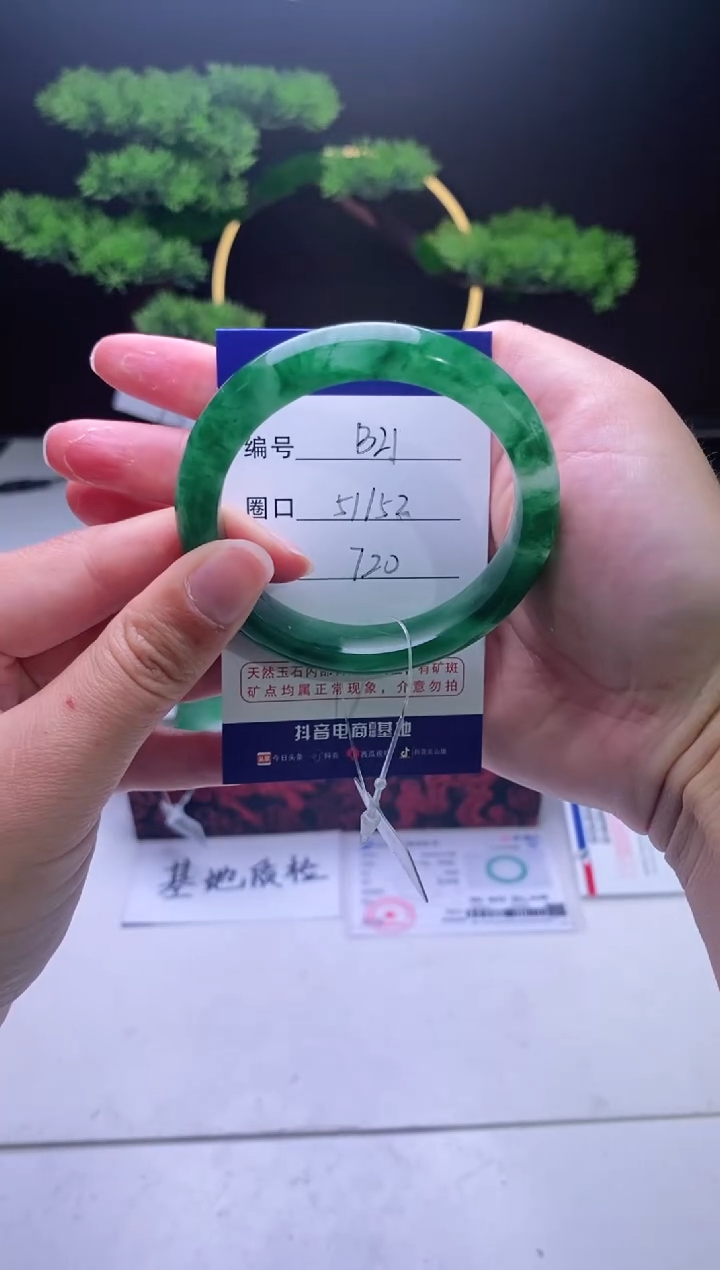 【闪购商品】石英质玉手镯未镶嵌【冰澜珠宝】-序号21