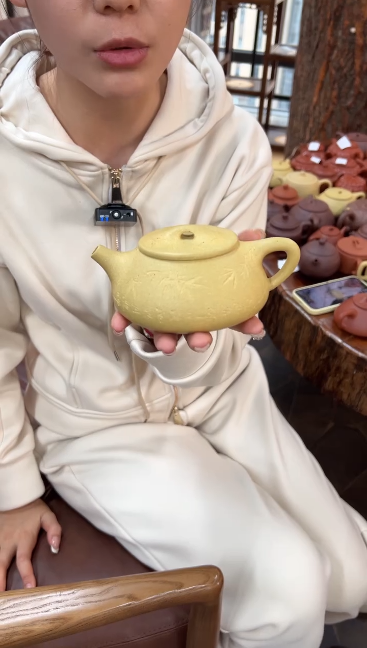 【闪购商品】紫砂茶壶【头哥手工壶】景舟石瓢本绿竹子