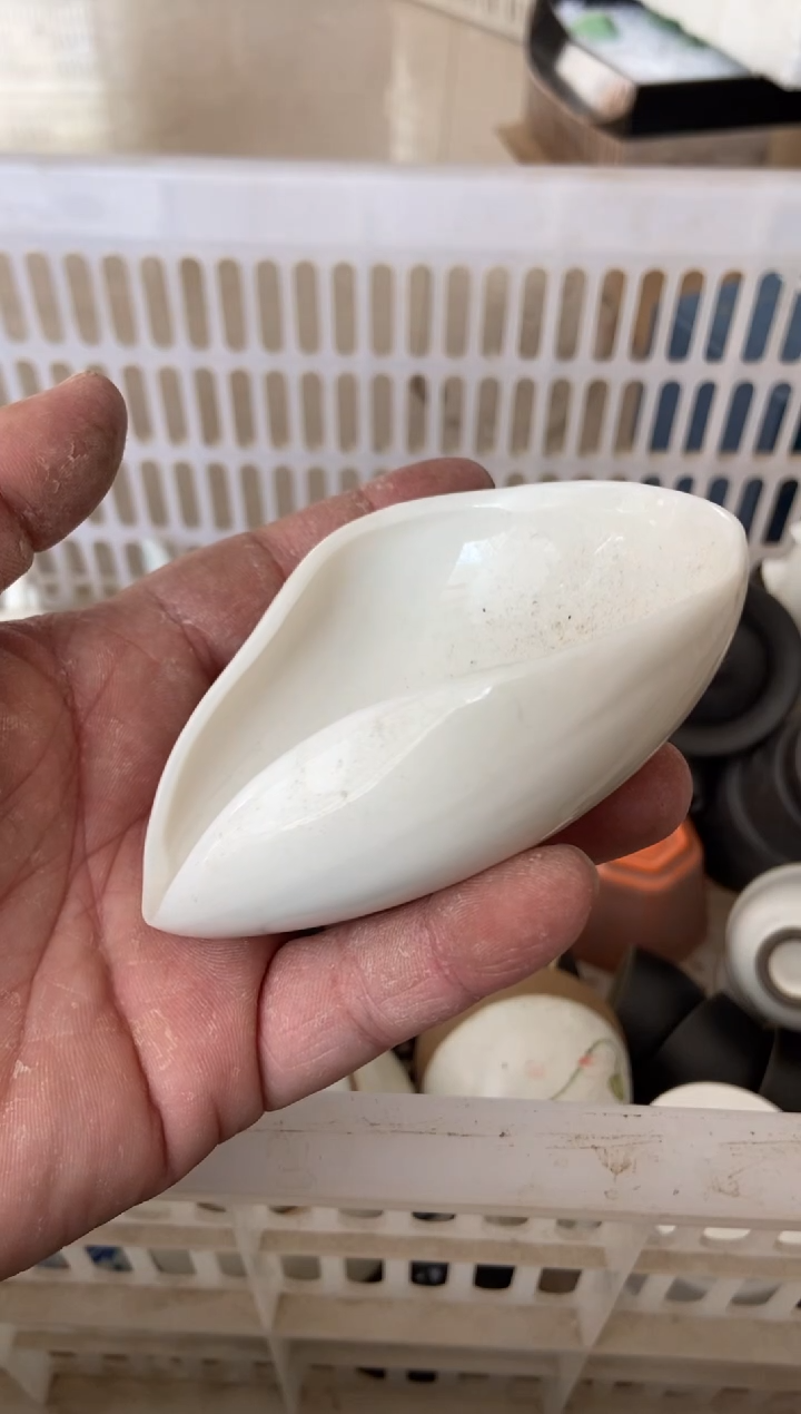 杯无运费险有瑕疵的摄影的产品有使用过的痕迹有点脏介意勿拍