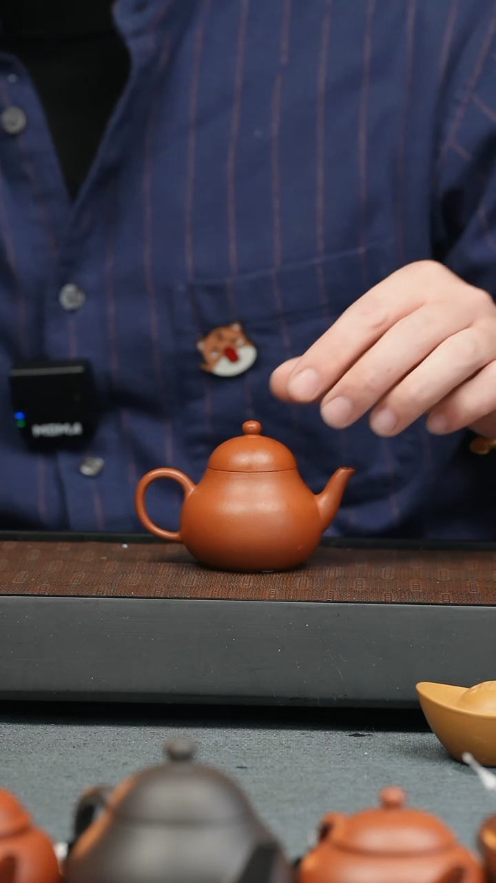 【闪购商品】紫砂茶壶五堂 婵娟