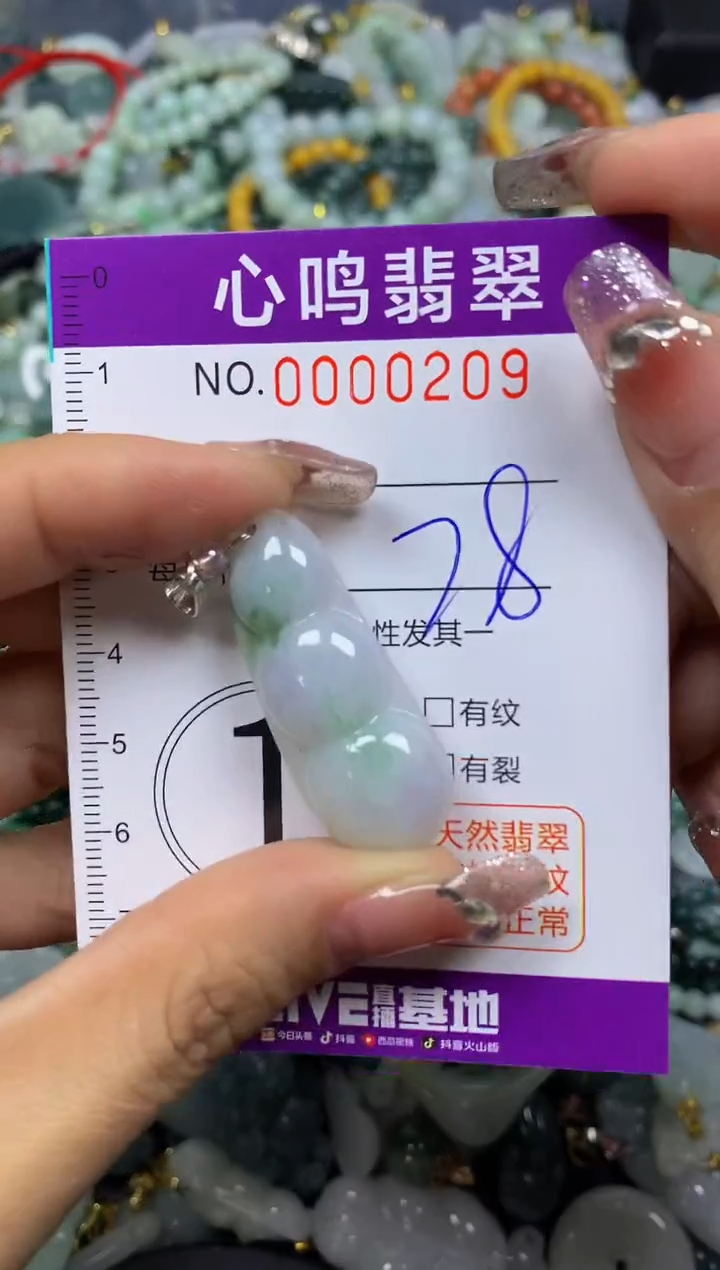 【闪购商品】翡翠颈饰未镶嵌闪购00209