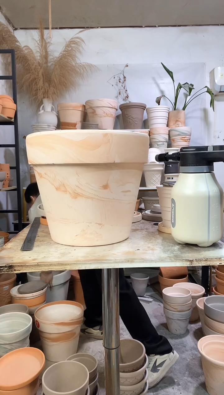 35*30玛奇朵 1盆无托