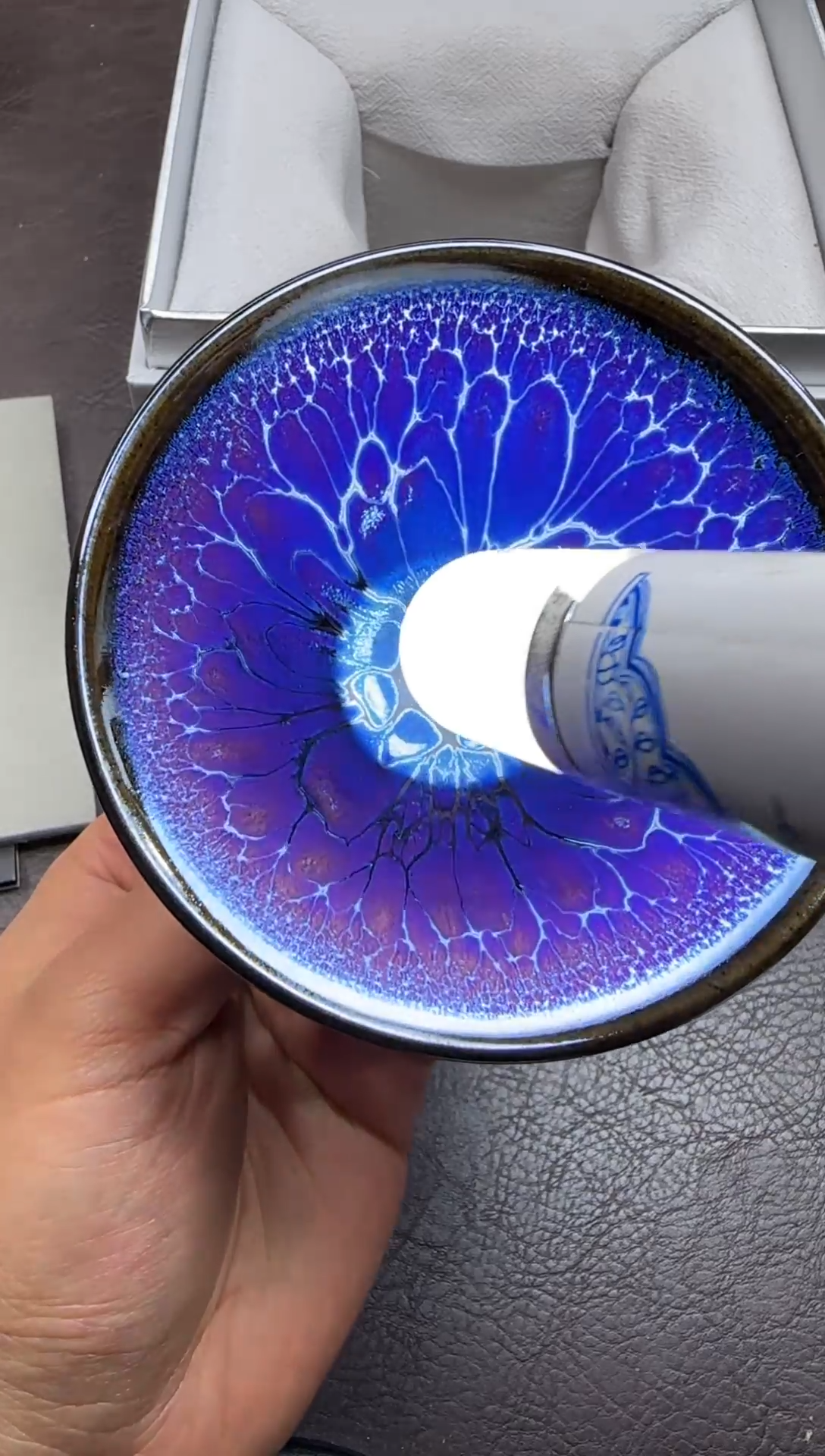 茶盏242号蓝色妖姬