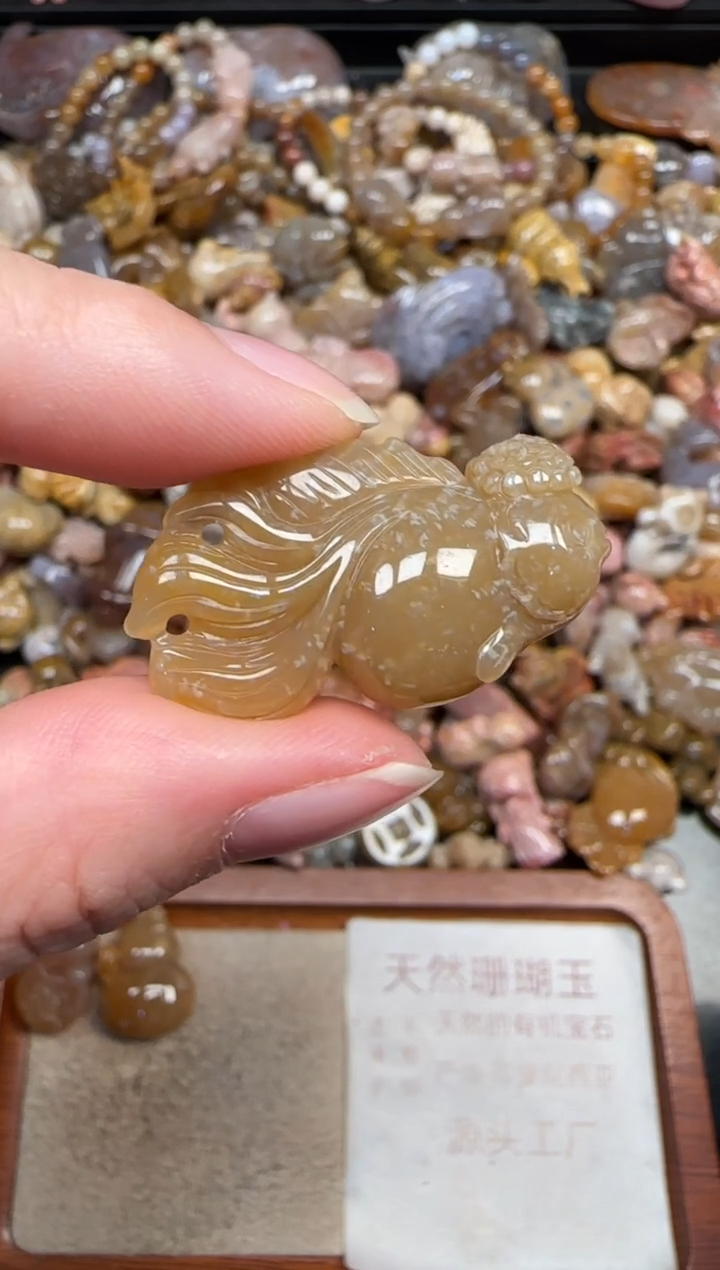 颈饰未镶嵌硅化珊瑚（珊瑚玉）167