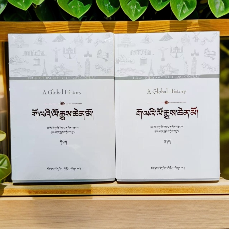 全球通史:从史前史到21世纪(上、下)