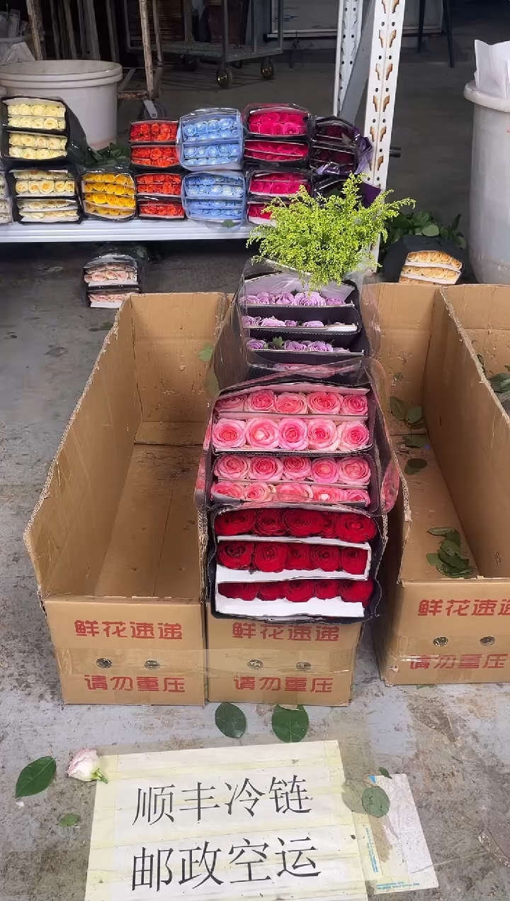 高原红20枝+艾沙20枝+海洋之歌20枝+黄莺