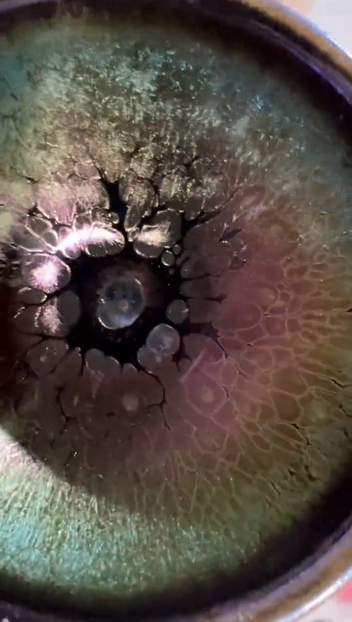 茶盏珞****疗七彩鼻祖谢贞生25