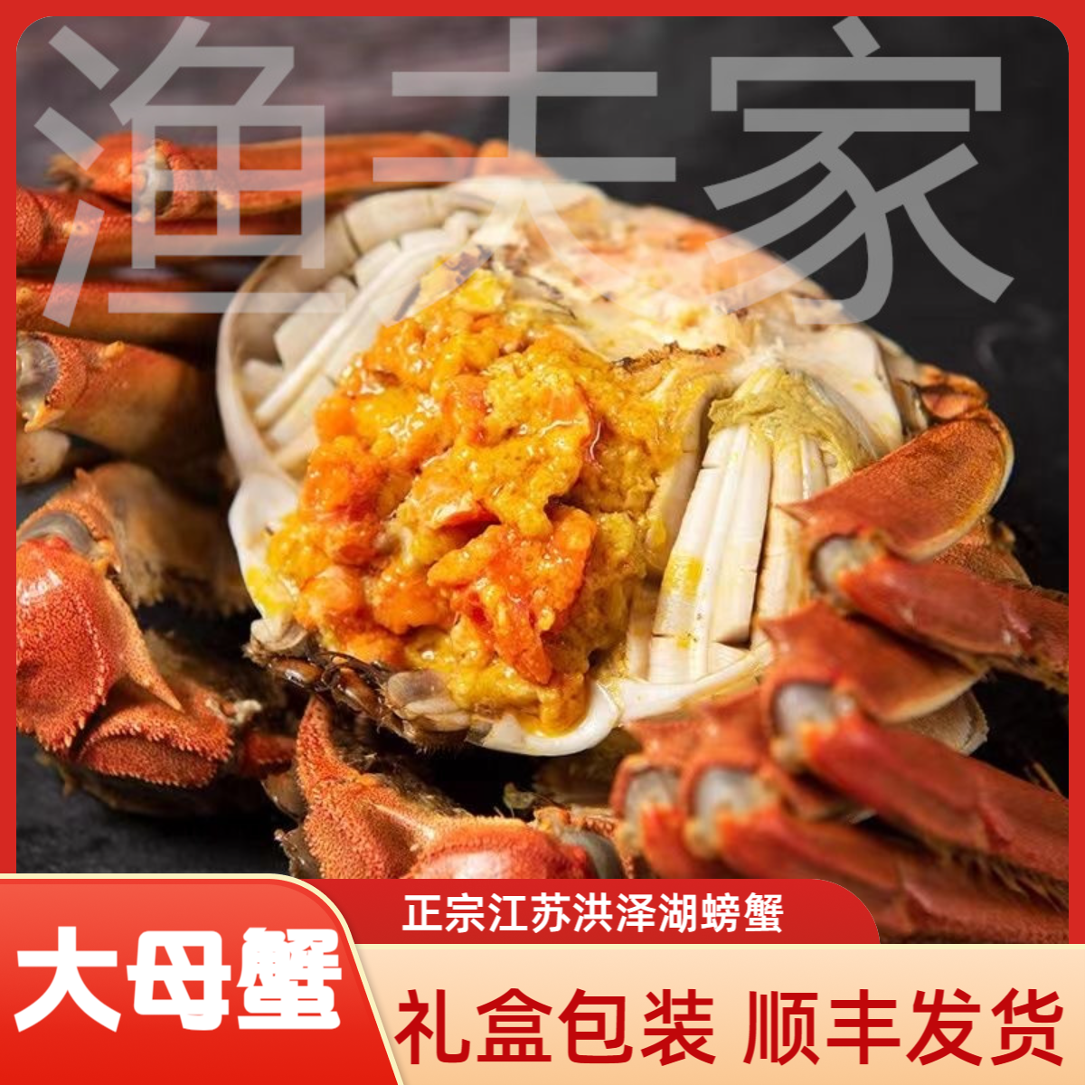 【活蟹全母蟹】精品大闸蟹2.4-2.7两10只精挑品质洪泽湖螃蟹