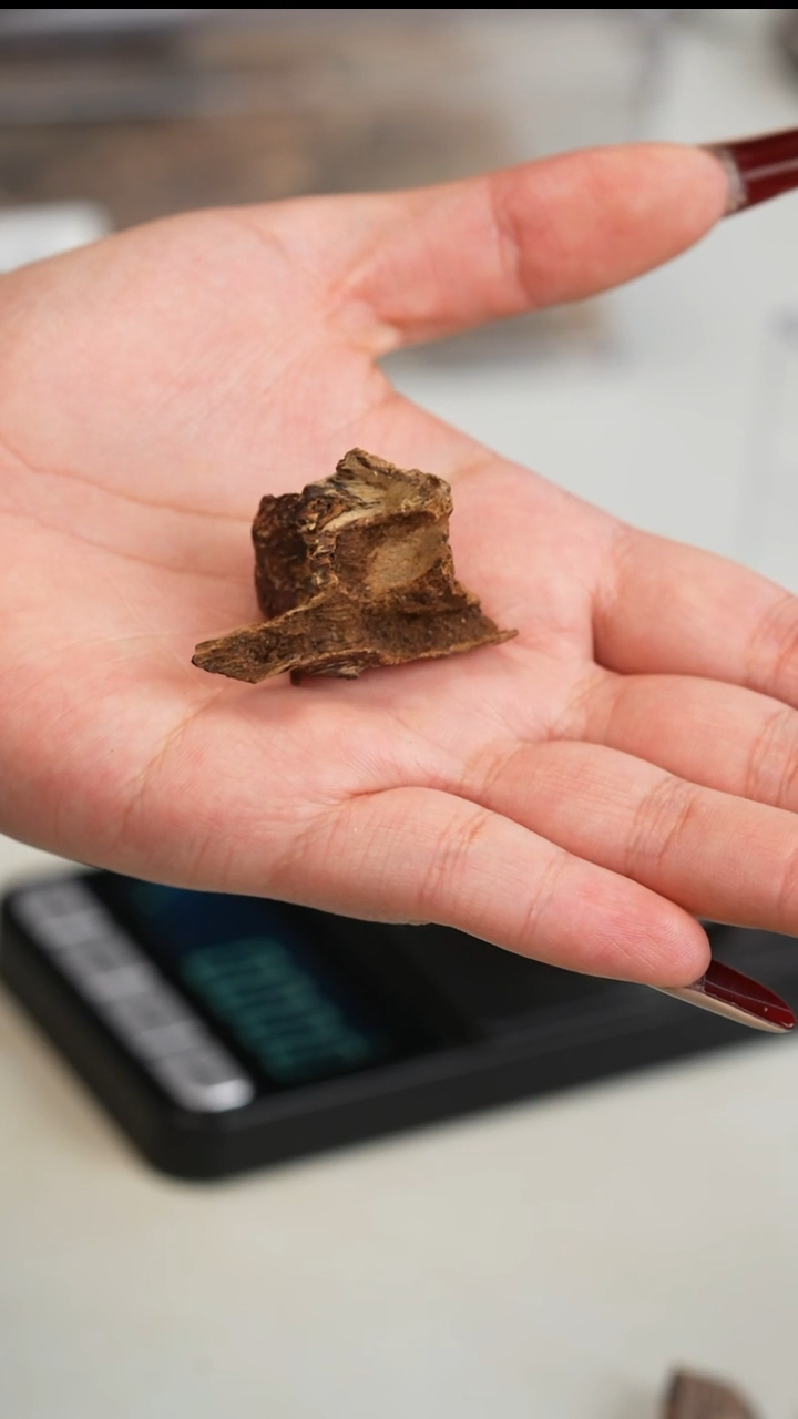 沉香沉香碎屑90年代海南料2.9克