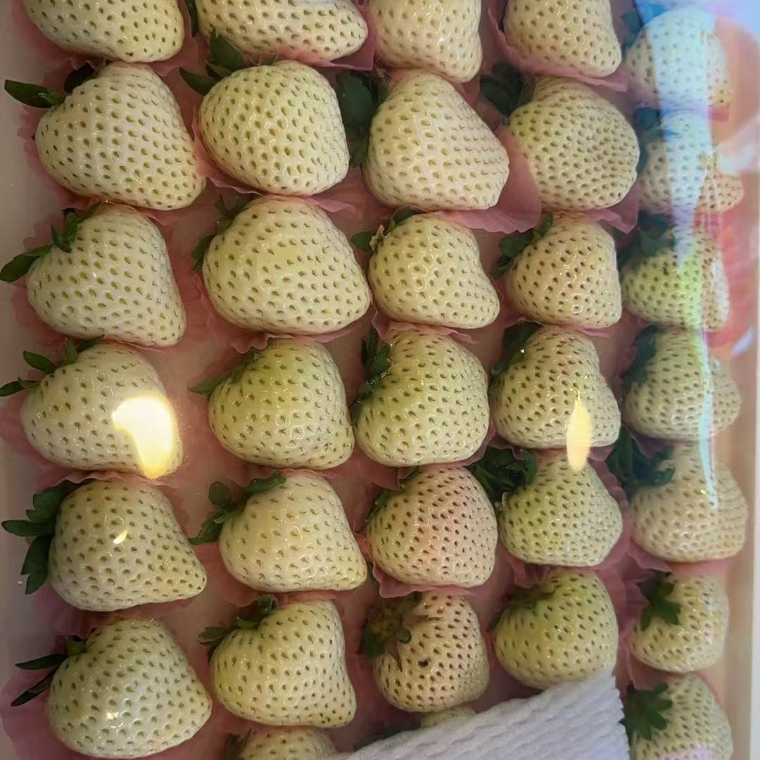 白色恋人白草莓一斤