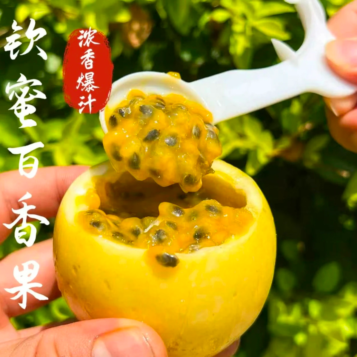 黄金百香果正宗钦蜜9号新鲜香甜多汁孕妇水果优质宝宝辅食A1