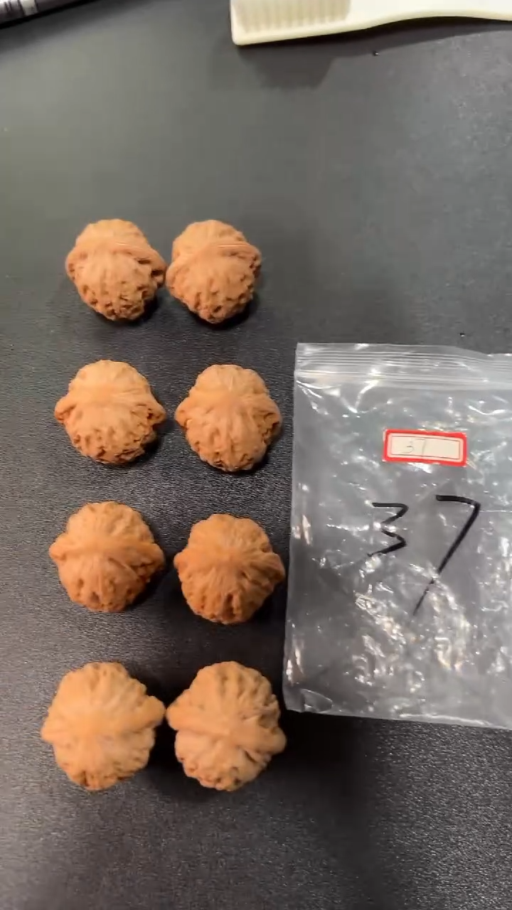 把件文玩核桃37铁锤