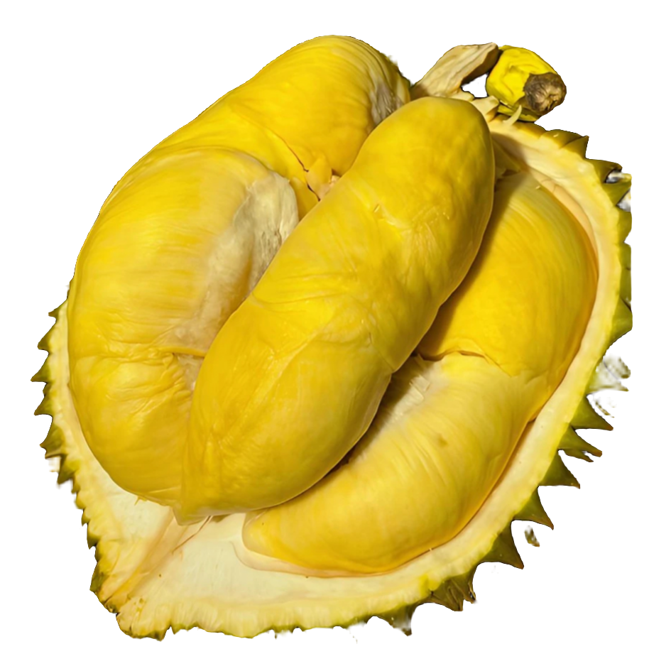 1斤树熟金枕泰国榴莲（果肉）新鲜现剥（核小）现拍现送，【义乌全城小时达】金枕泰国