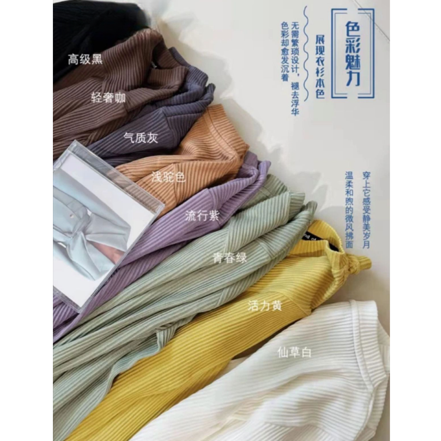 86109盒装坑条打底衫春秋款中领长袖百搭修身显瘦打底衫