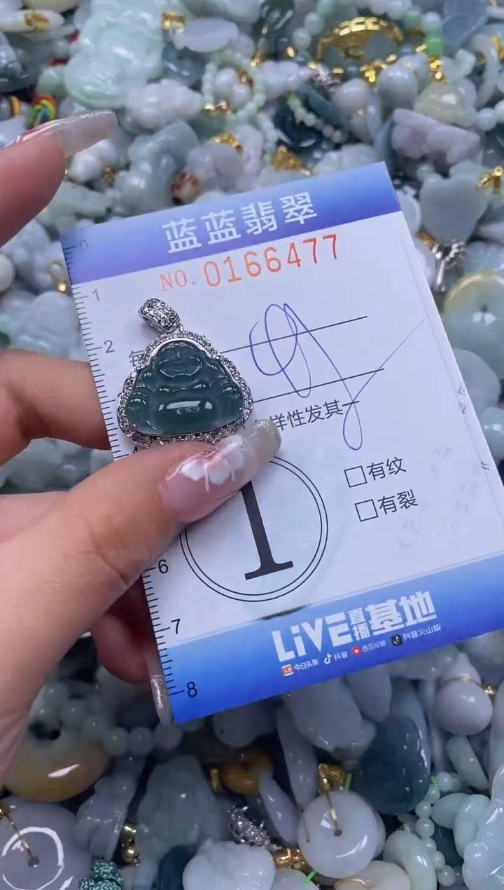 【闪购商品】翡翠颈饰未镶嵌闪购0166477