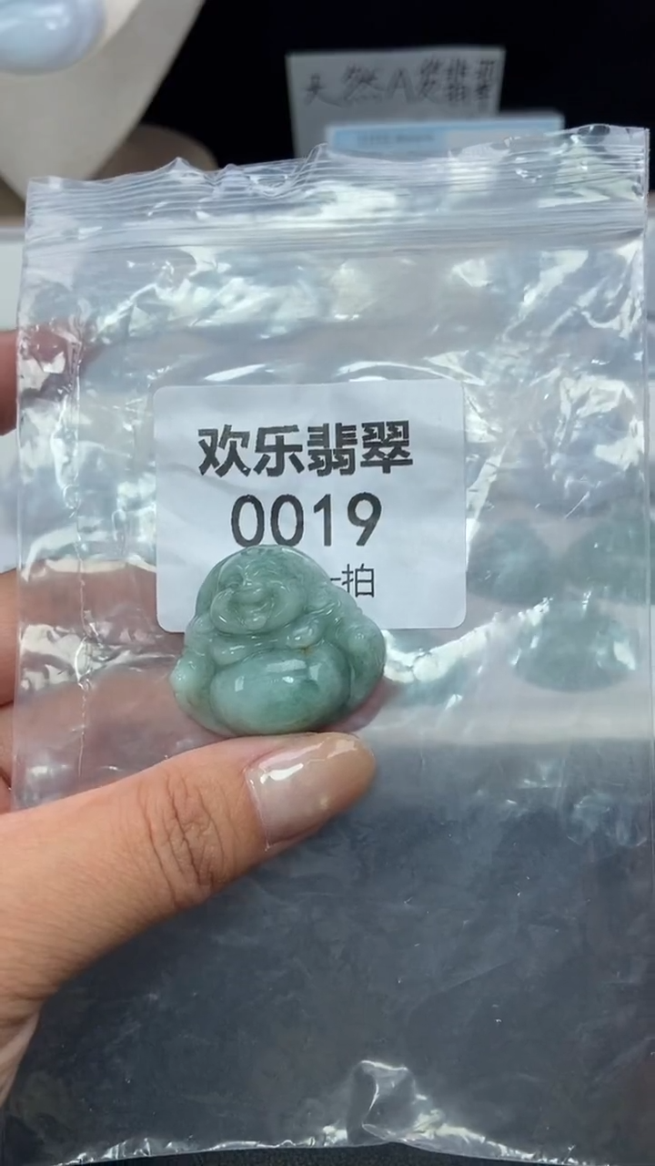 颈饰未镶嵌翡翠缅甸天然翡翠0019