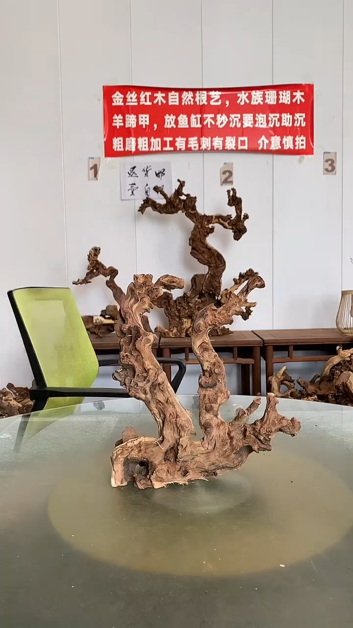 香榧木闫**信金丝红木 羊蹄甲