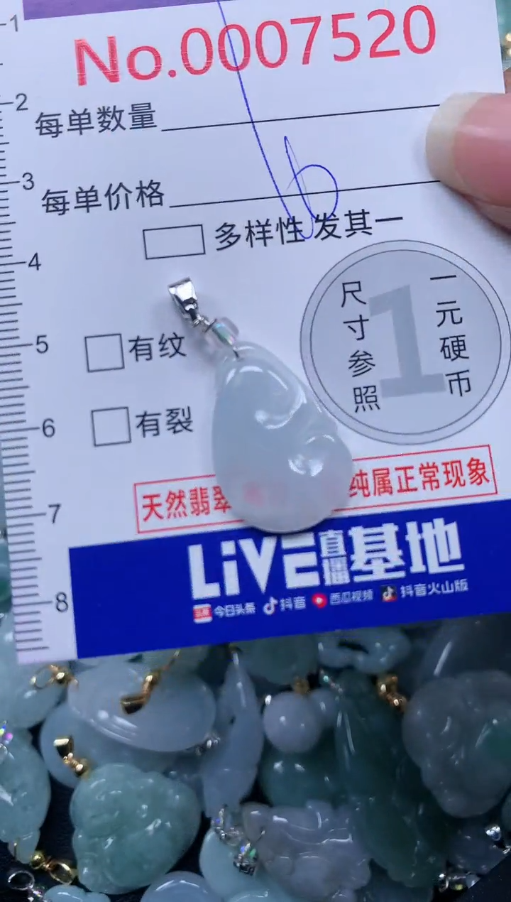 颈饰未镶嵌翡翠7520