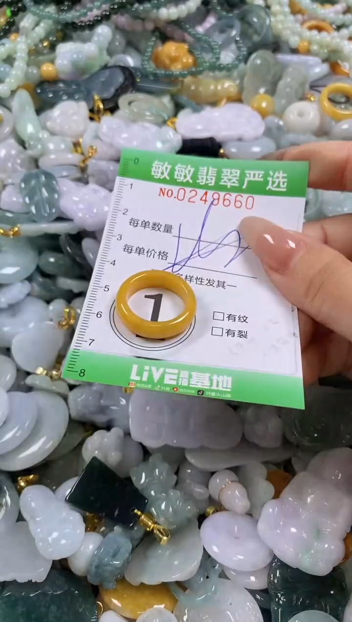 翡翠未镶嵌颈饰闪购0249660多样性发其一